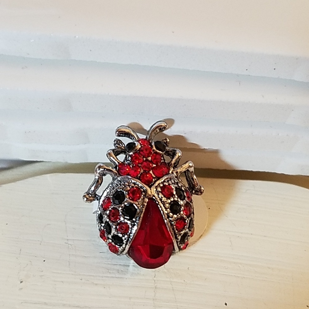 Ladybug Red & Black Stobe Silver Tone 1" Pin